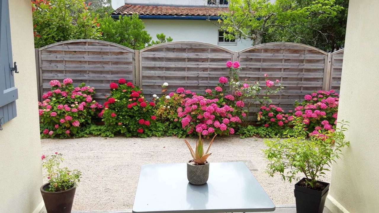 Photo of Outdoor in Vieux-Boucau-les-Bains
