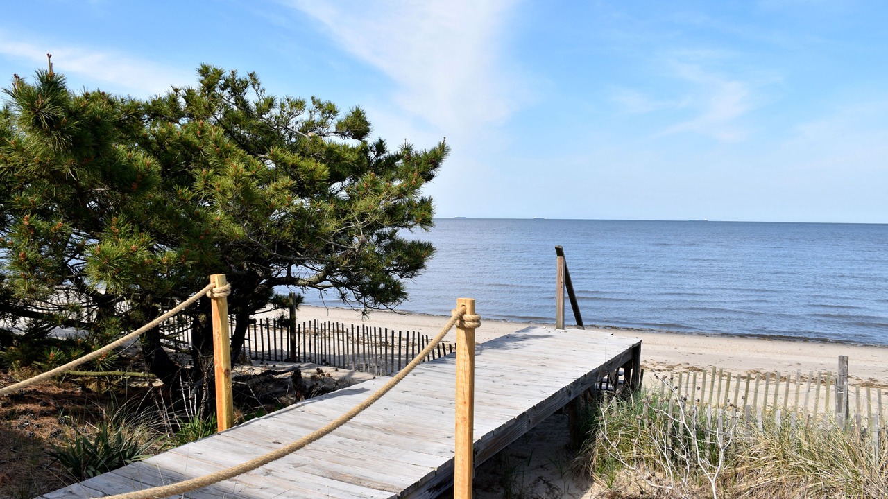 Photo of Others in Prime Hook Beach