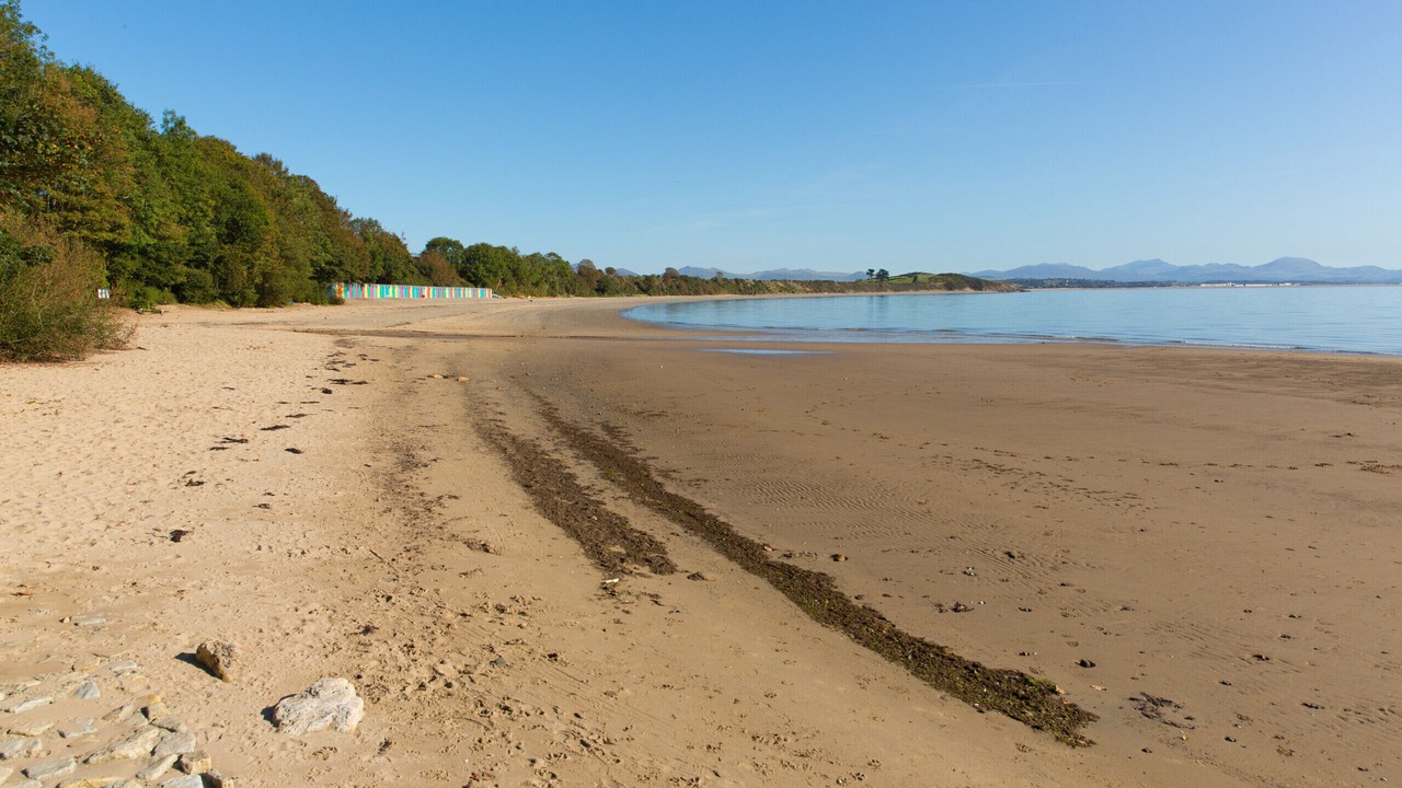 Photo of Others in Rhyd-y-clafdy