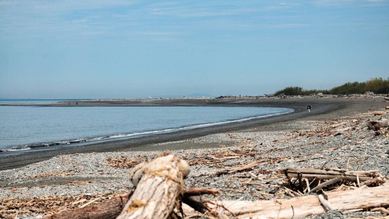 Photo of Others in Port Angeles