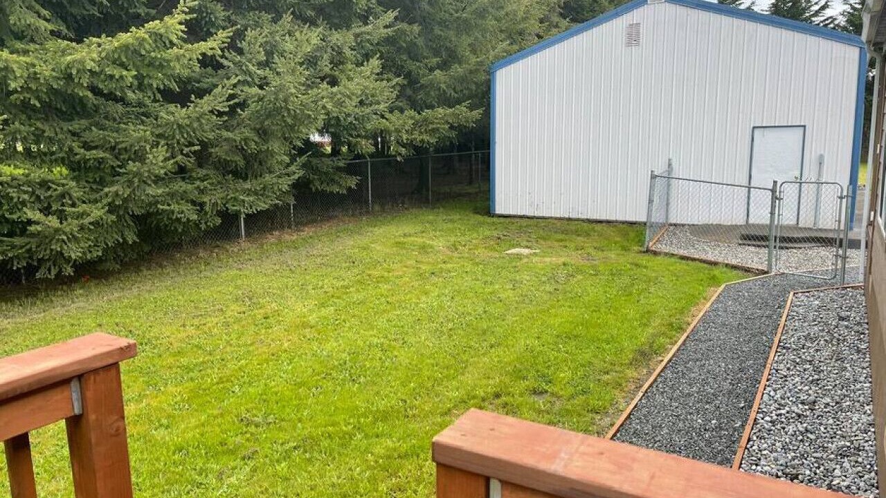 Photo of Outdoor in Forks