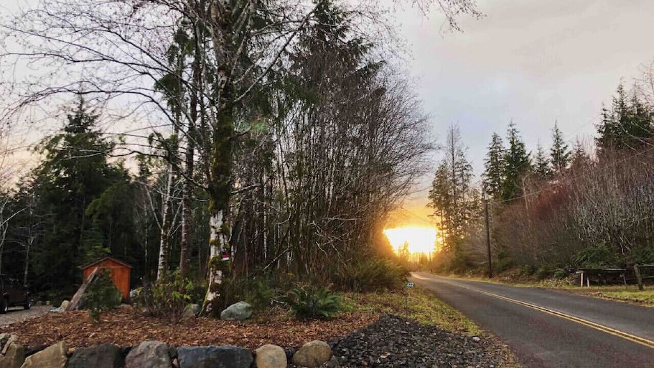 Photo of Others in Forks