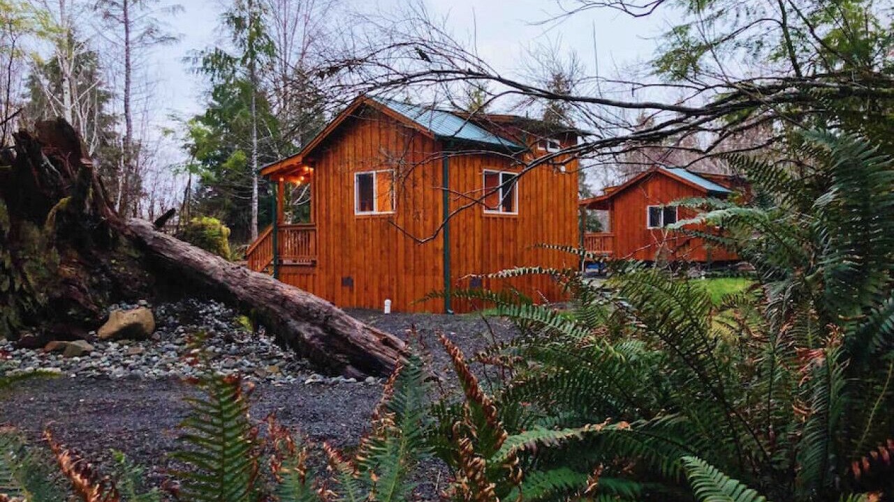 Photo of Outdoor in Forks