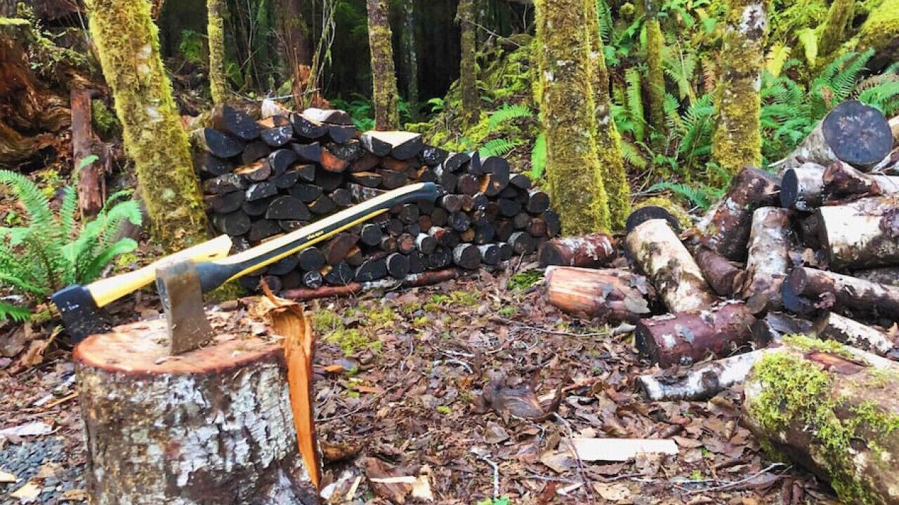 Photo of Others in Forks