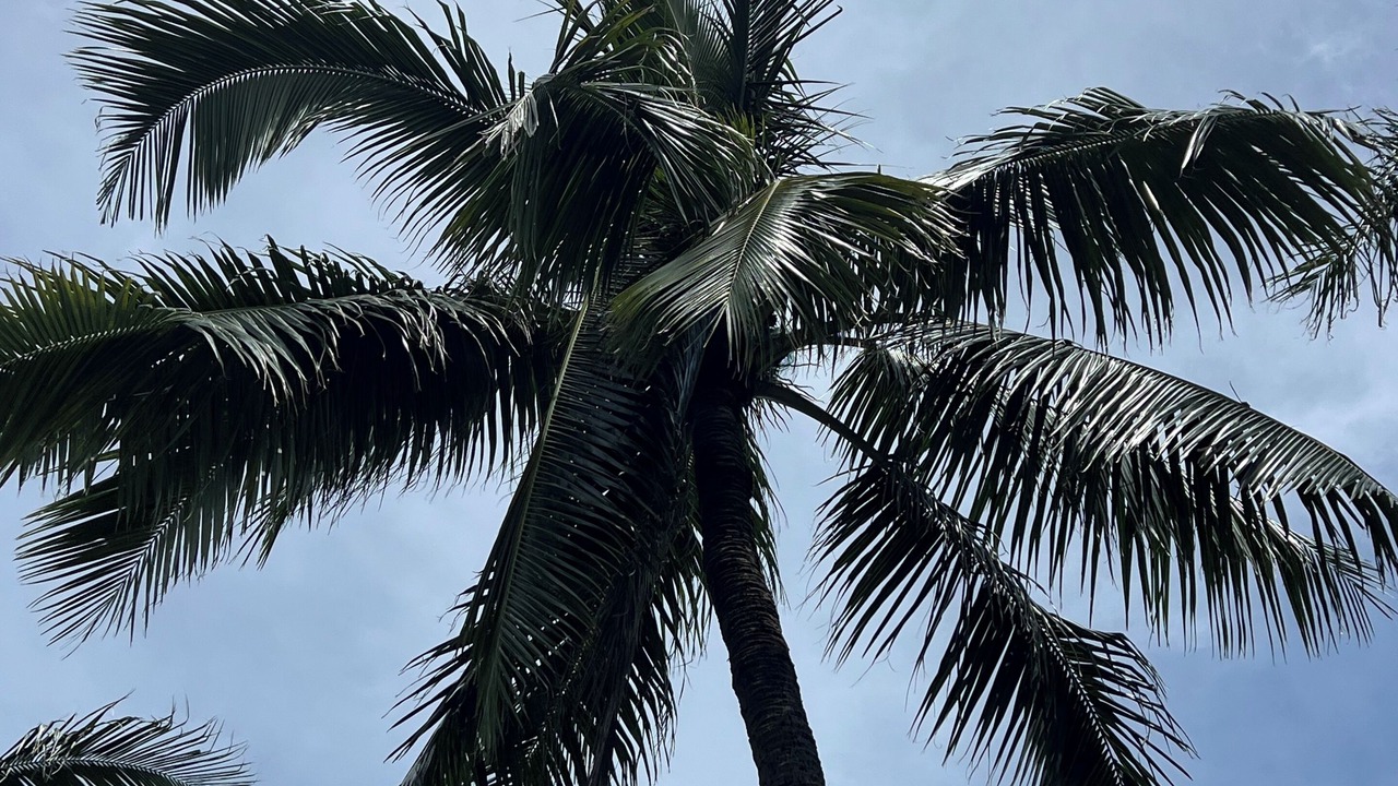 Photo of Others in Lanikai