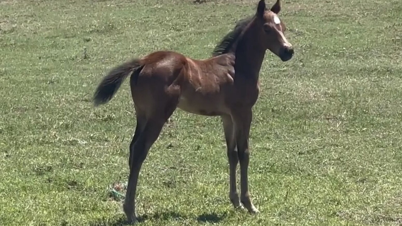Photo of Outdoor in Tolar