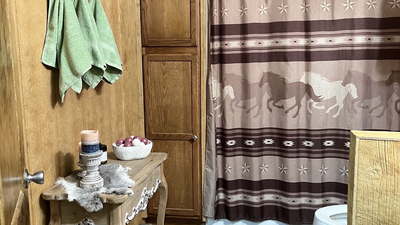 Photo of Bathroom in Tolar