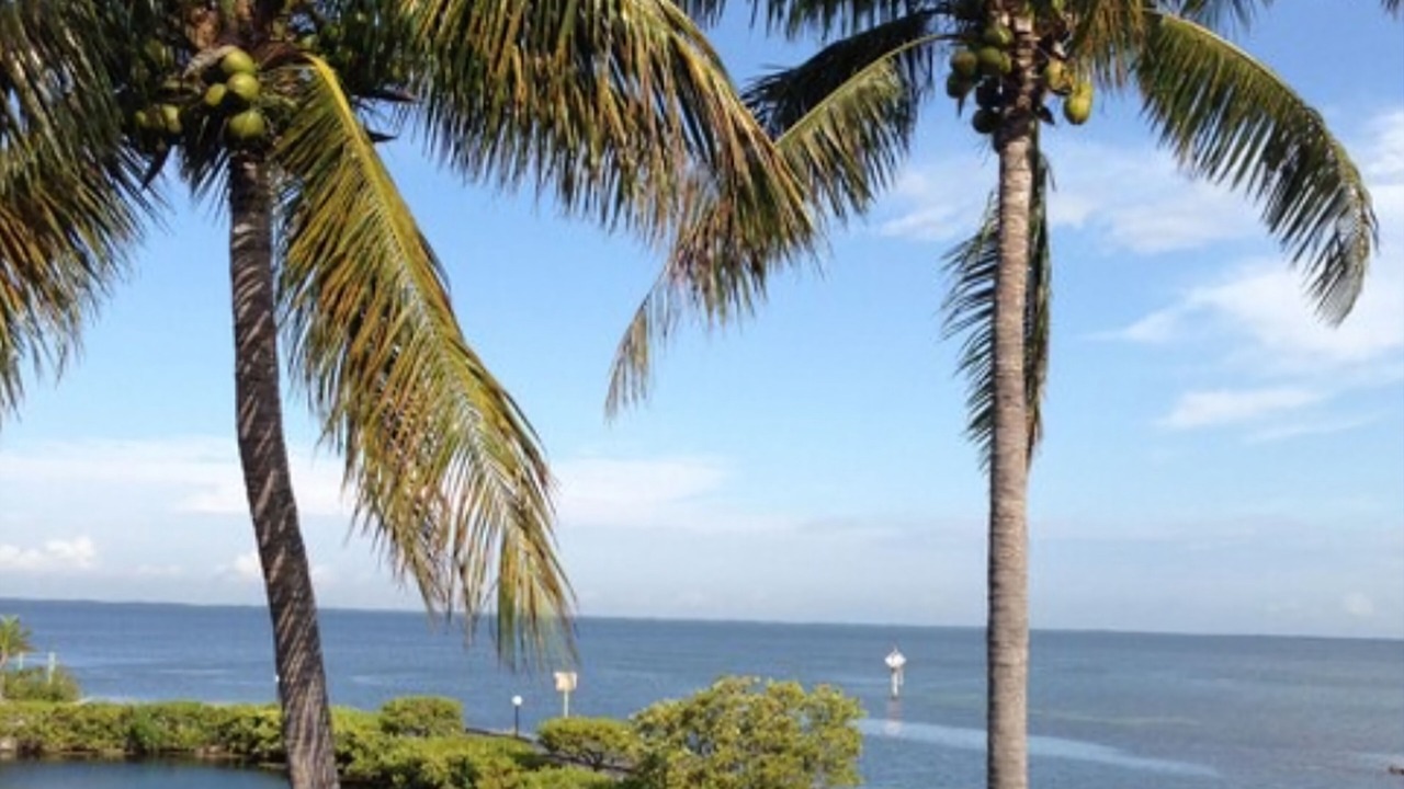 Photo of Others in Cross Key Waterways