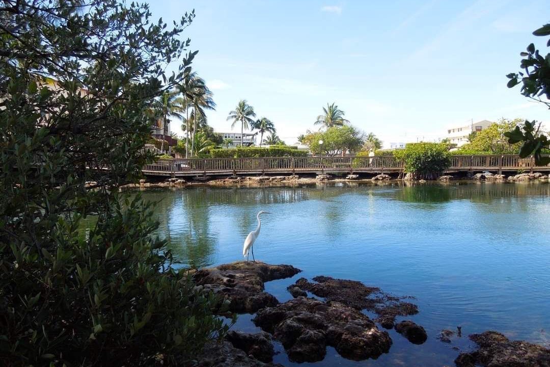 Photo of Others in Cross Key Waterways