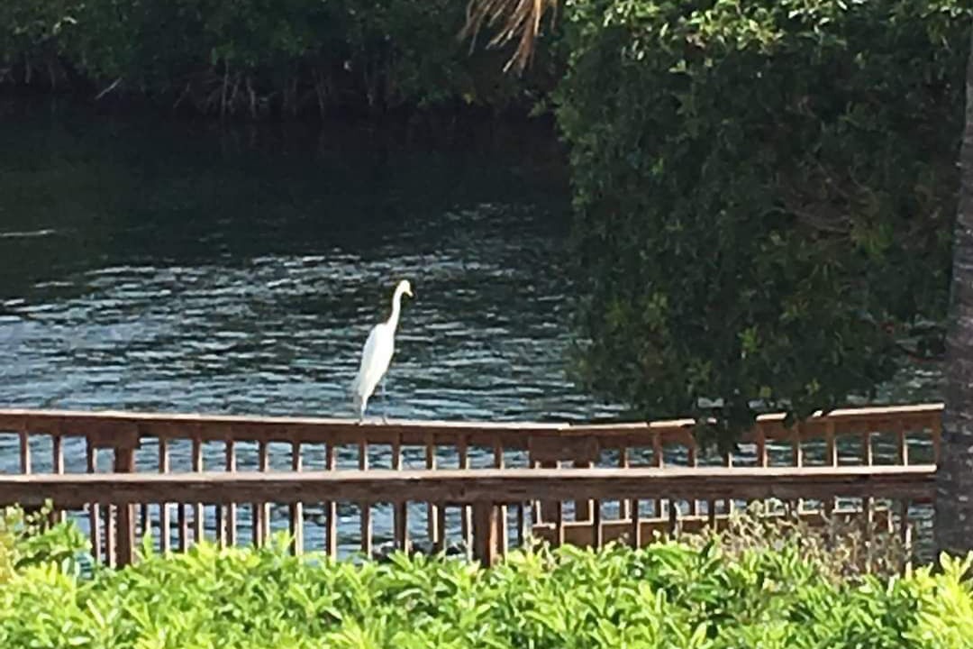 Photo of Others in Cross Key Waterways