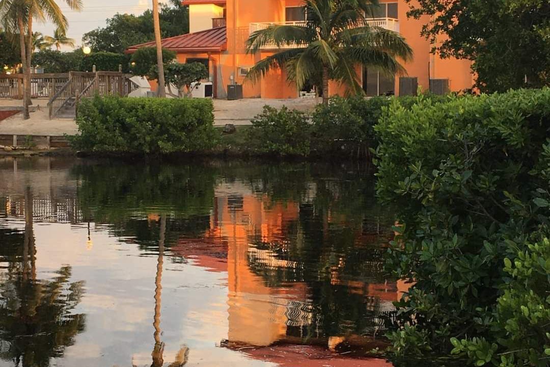 Photo of Others in Cross Key Waterways