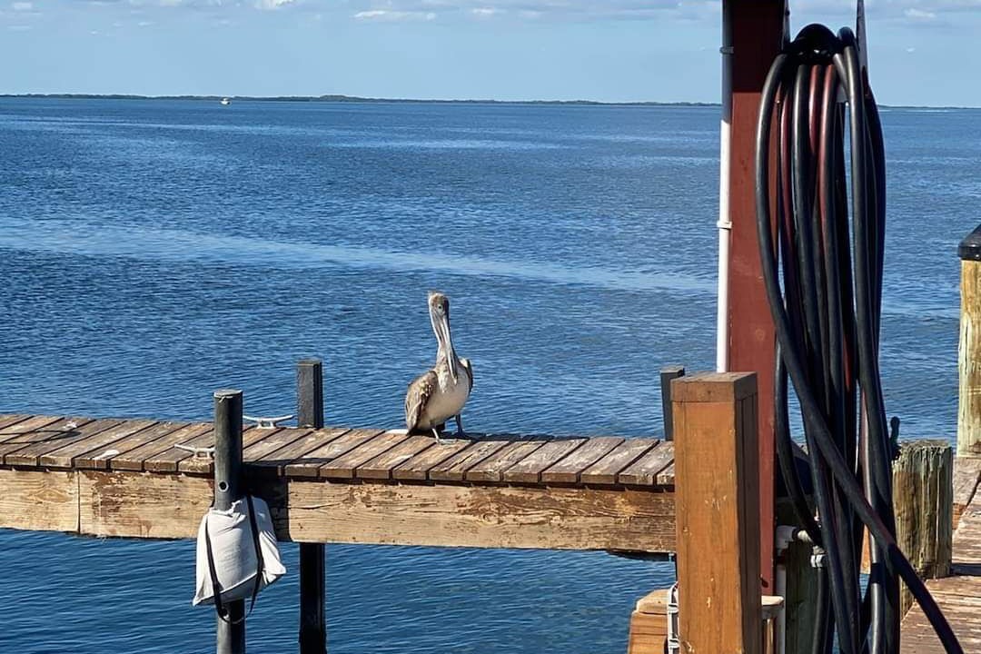 Photo of Others in Cross Key Waterways