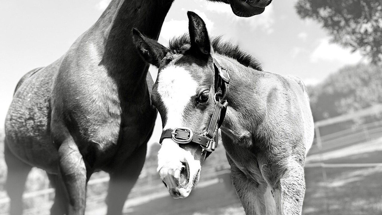 Photo of Others in Beechmont