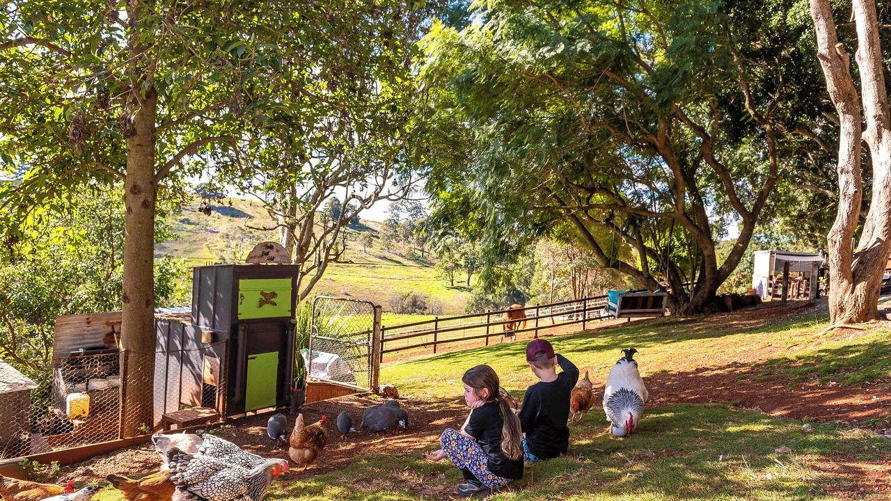 Photo of Others in Beechmont