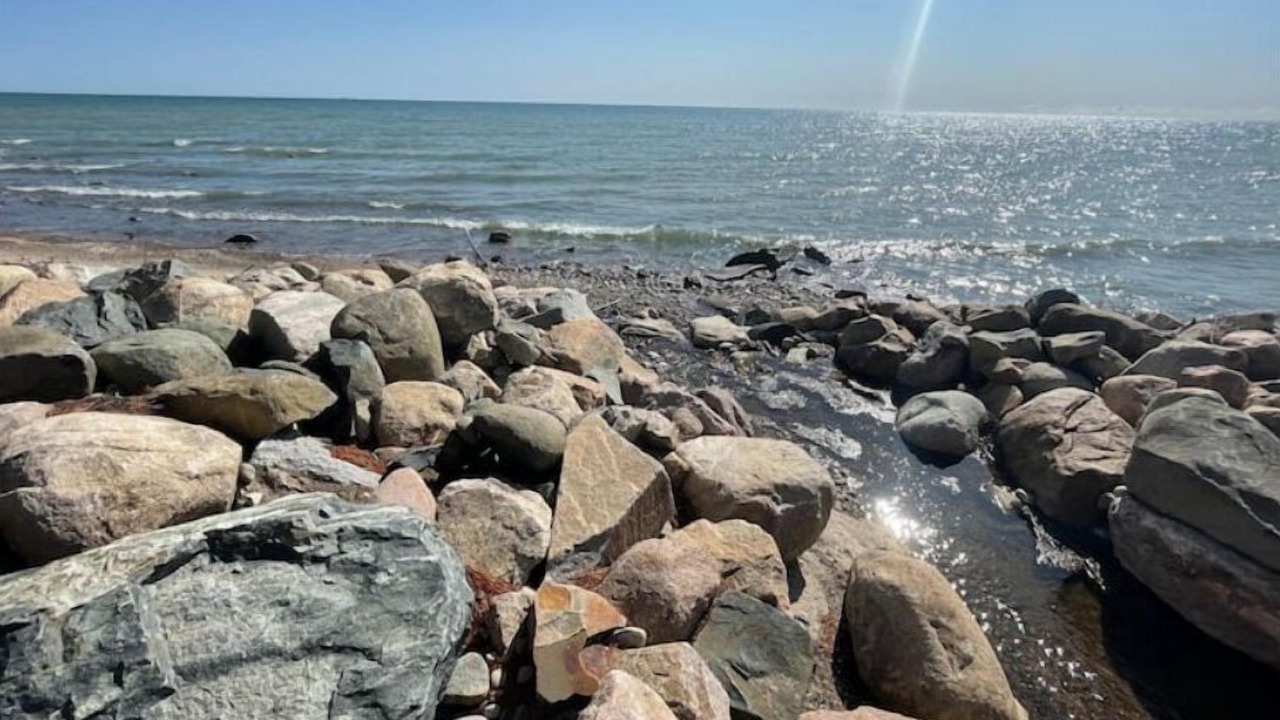 Photo of Others in Port Sanilac