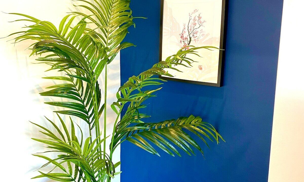 Photo of Others in Poole