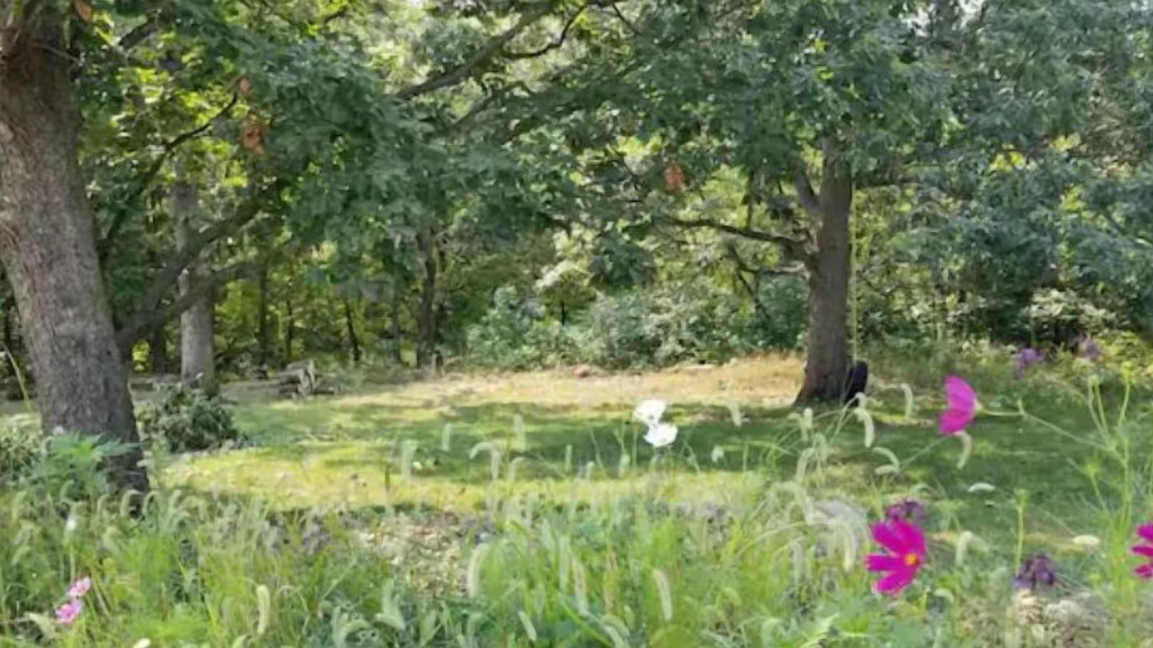 Photo of Others in Shawnee