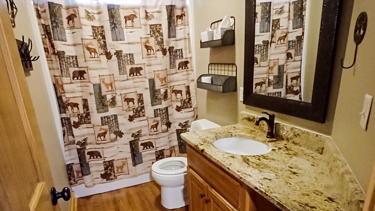 Photo of Bathroom in Deer