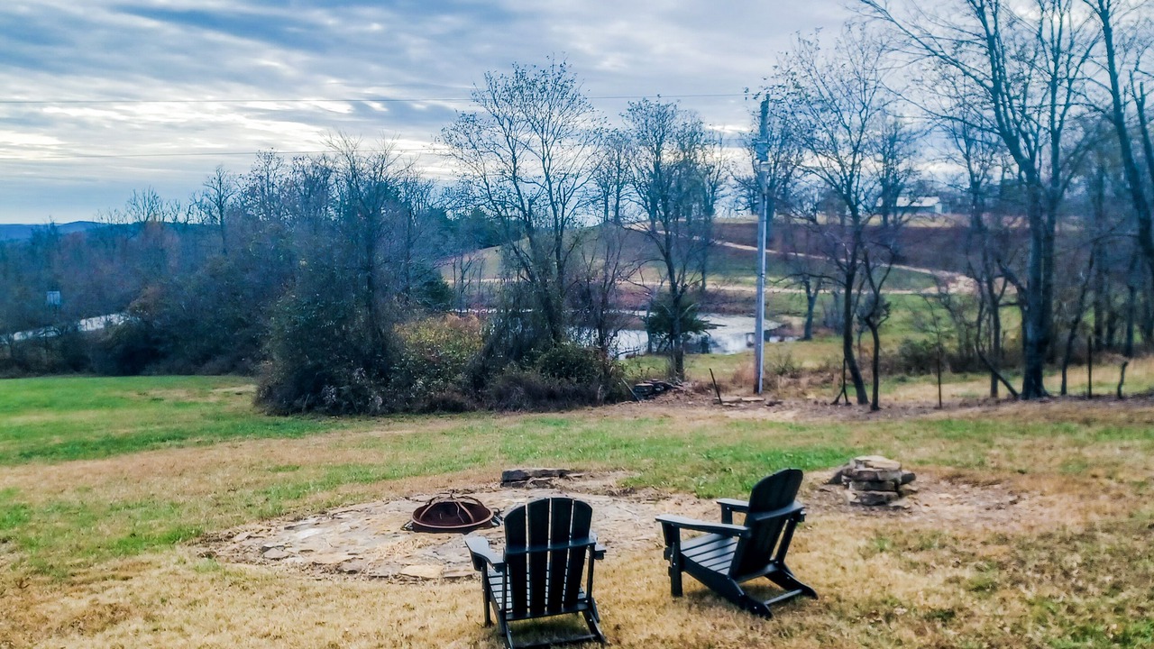 Photo of Outdoor in Deer