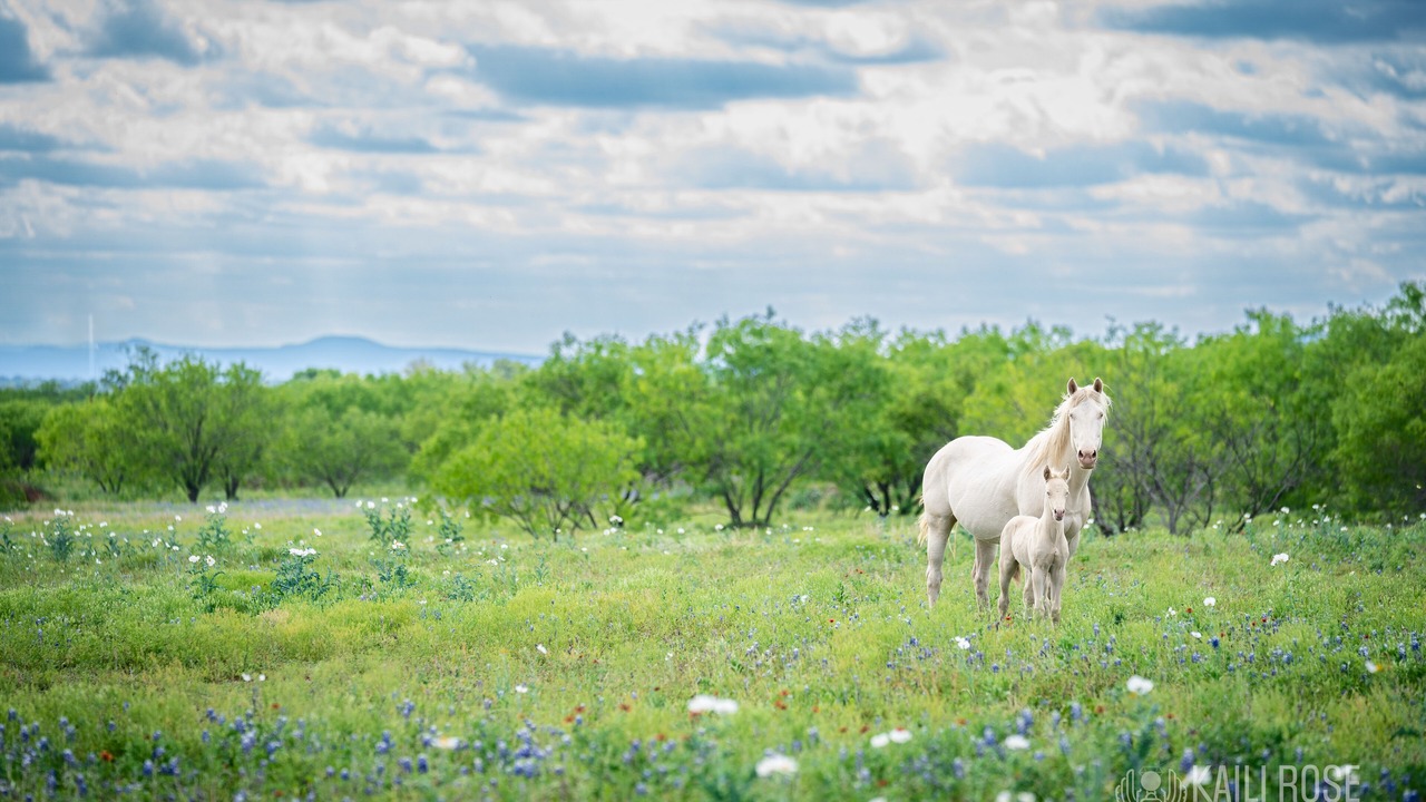 Photo of Outdoor in Marble Falls