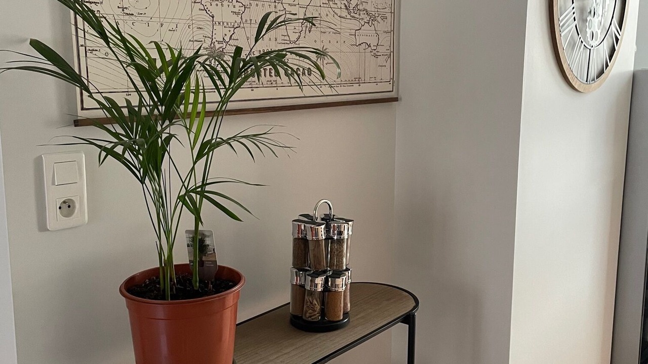 Photo of Others in Saint-Remy