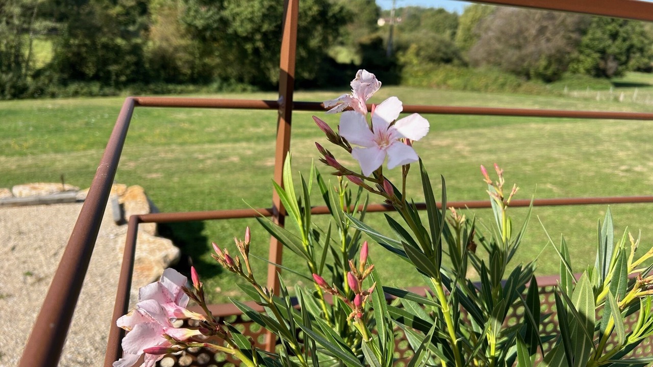 Photo of Outdoor in Saint-Remy