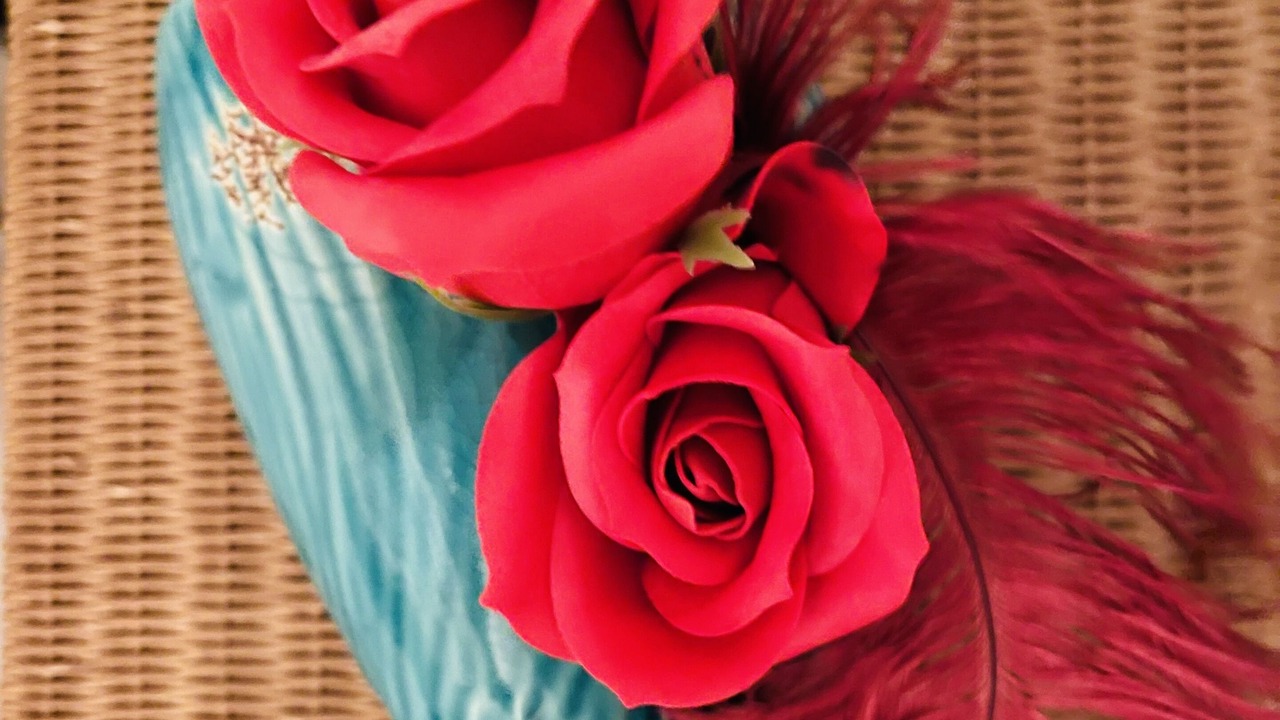 Photo of Others in Samana