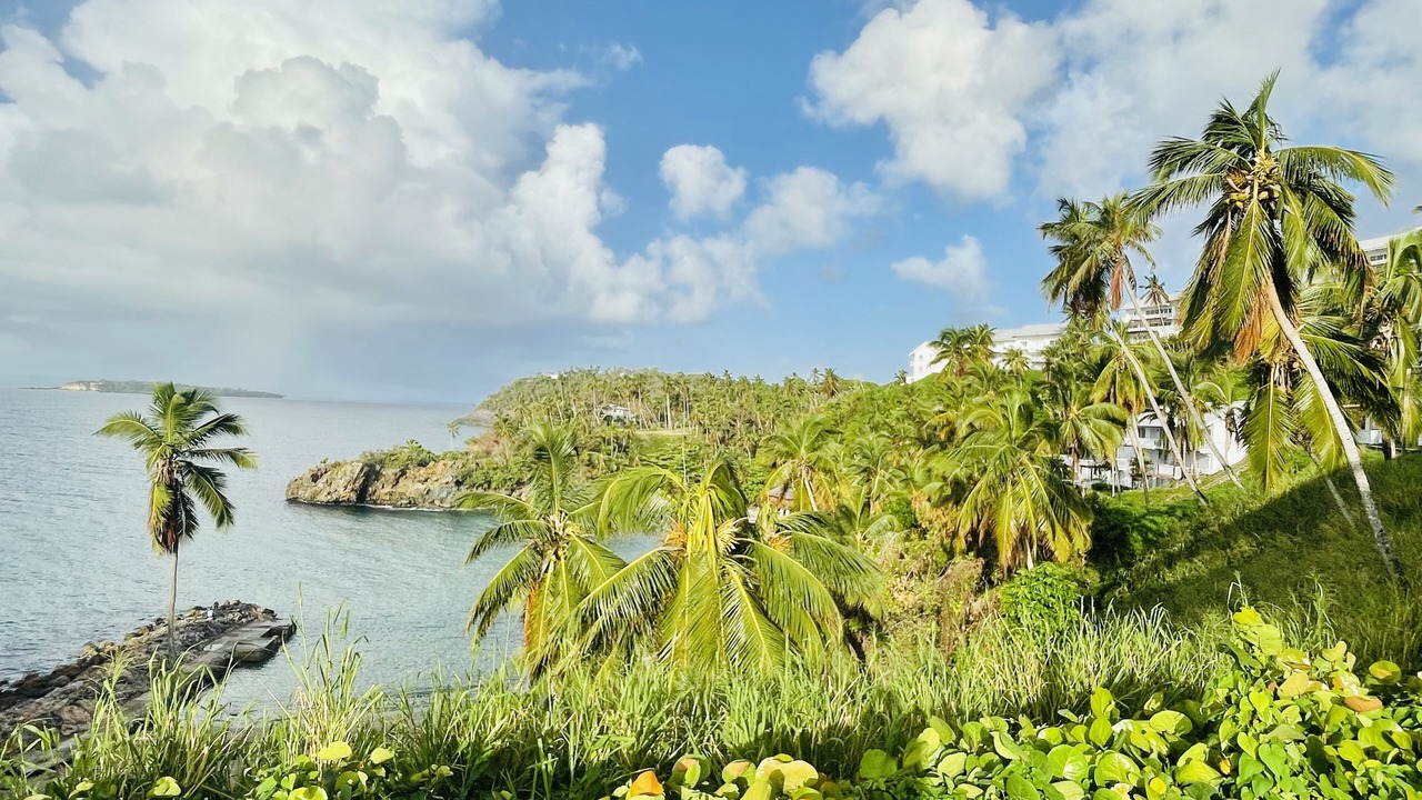 Photo of Others in Samana