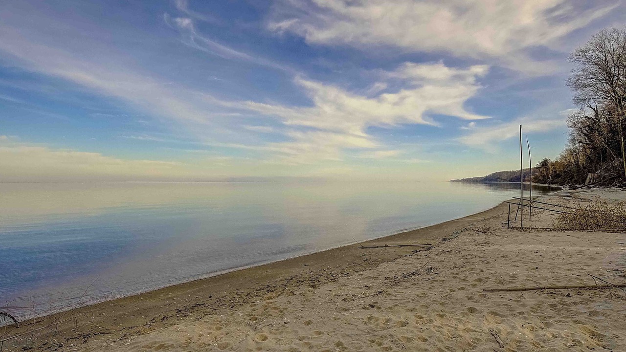 Photo of Others in Port Republic