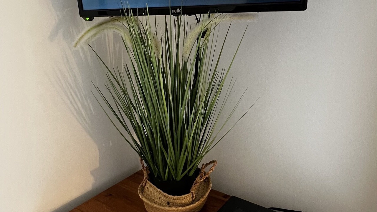 Photo of Others in Kilgetty