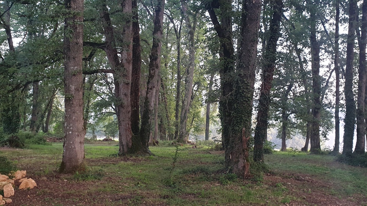 Photo of Others in Doissat