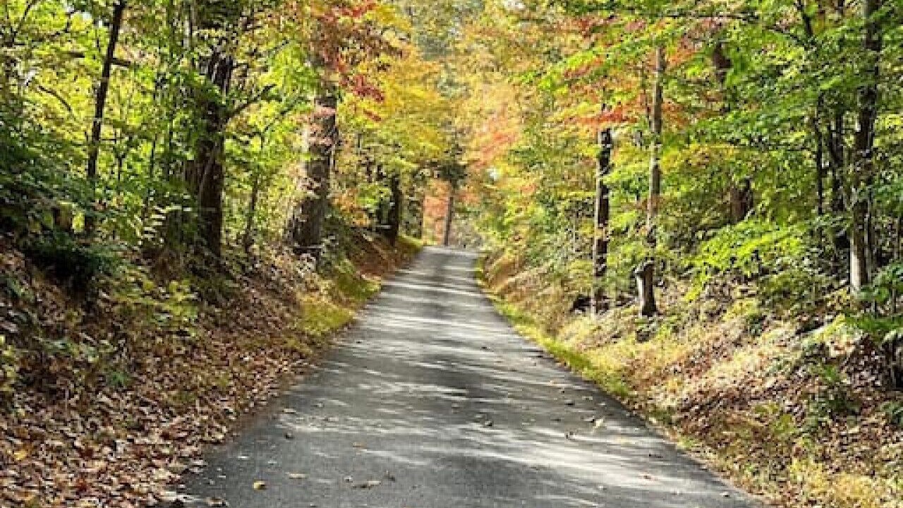 Photo of Outdoor in Winston