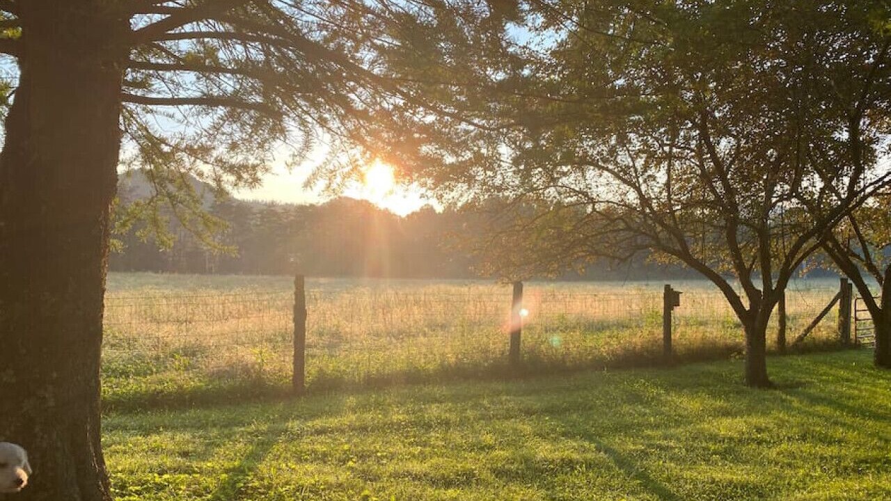 Photo of Others in Winston