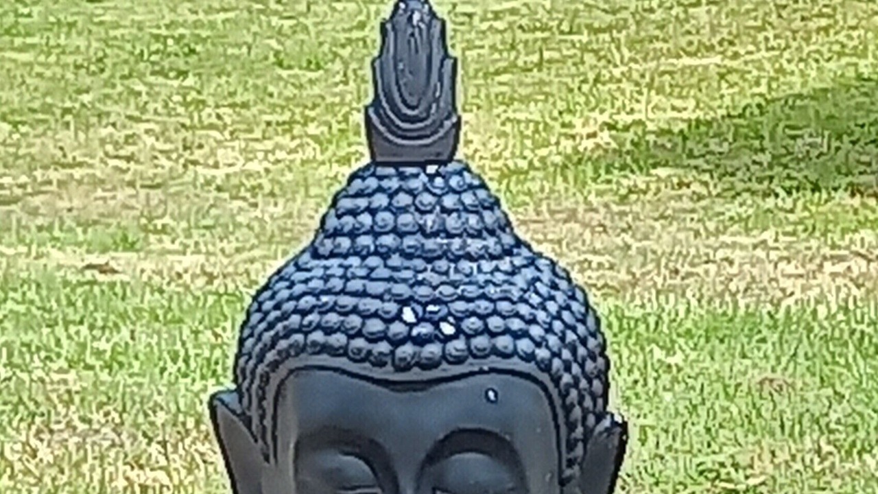 Photo of Outdoor in Monbahus