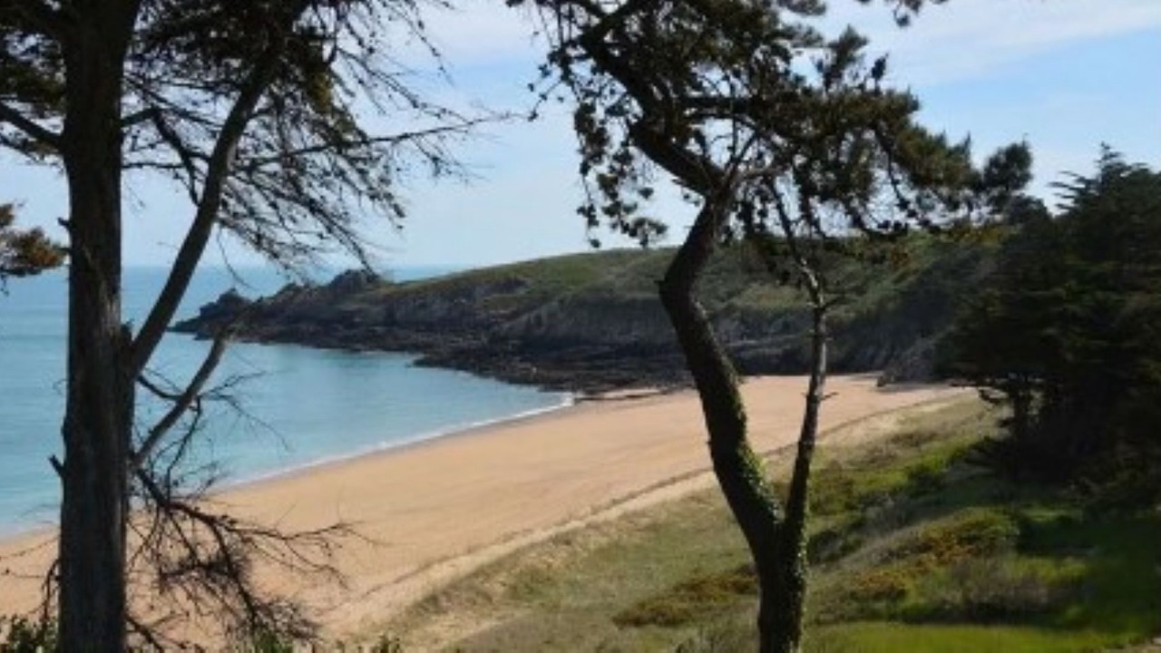 Photo of Others in Dol-de-Bretagne