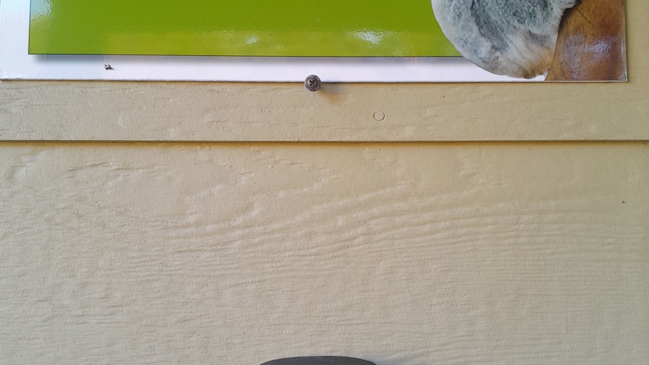 Photo of Others in Mallacoota