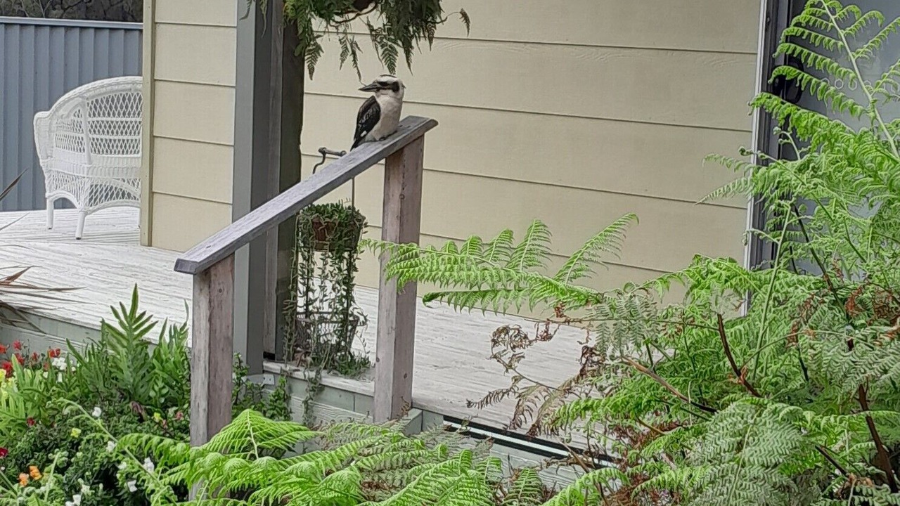 Photo of Outdoor in Mallacoota