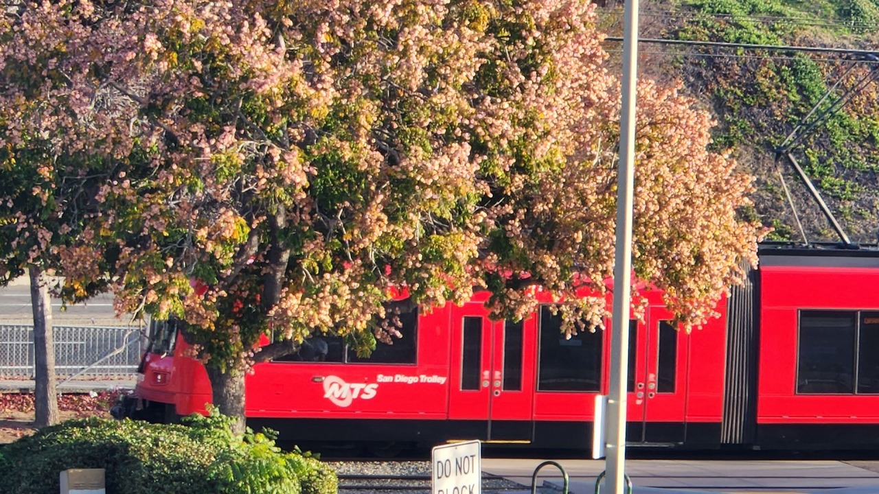 Photo of Outdoor in Lemon Grove