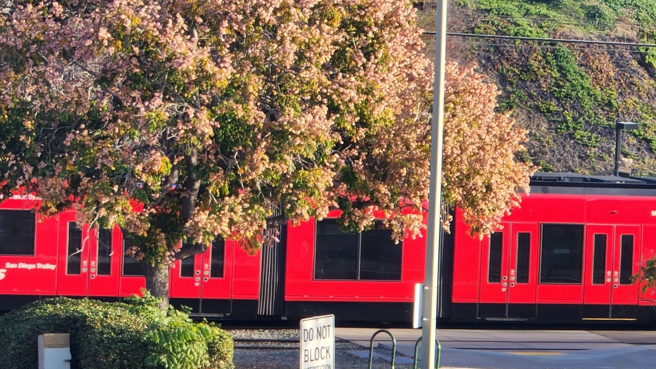 Photo of Others in Lemon Grove