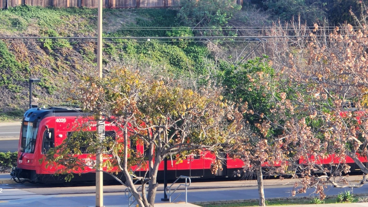 Photo of Others in Lemon Grove