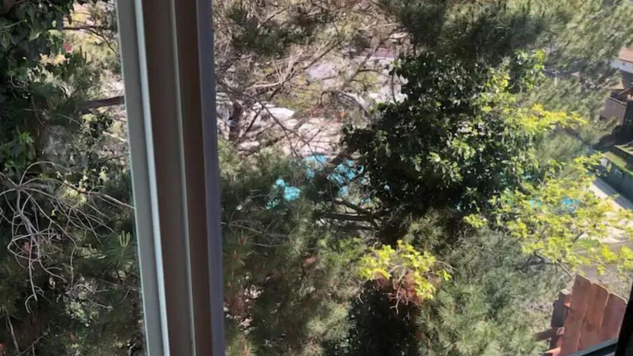 Photo of Others in Castro Valley