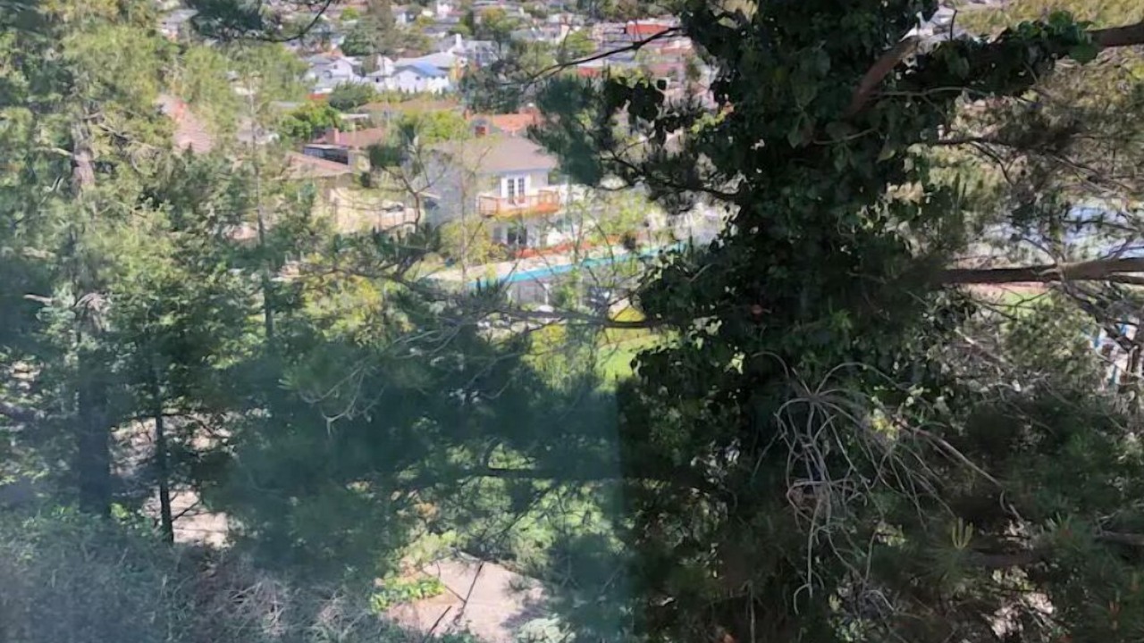 Photo of Outdoor in Castro Valley