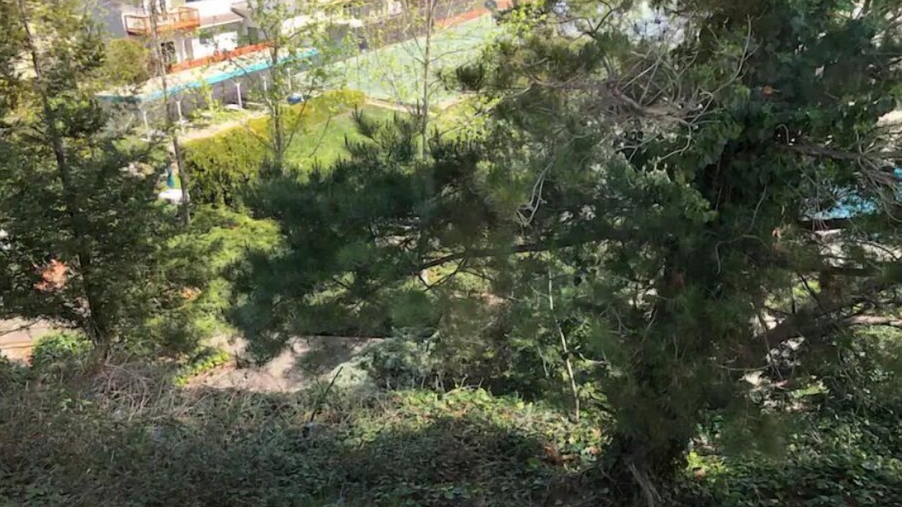 Photo of Outdoor in Castro Valley