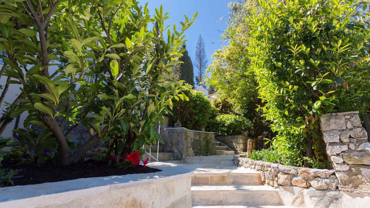 Photo of Outdoor in Lapad