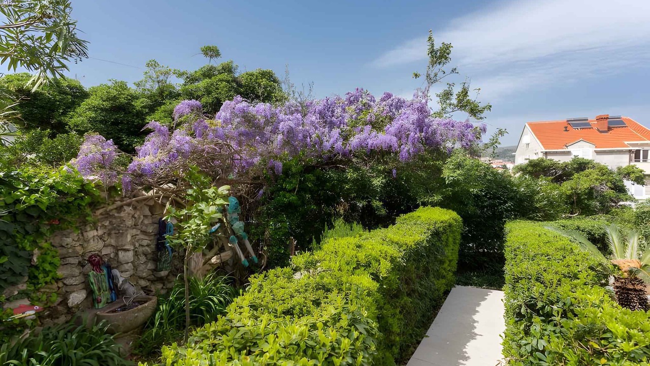 Photo of Outdoor in Lapad