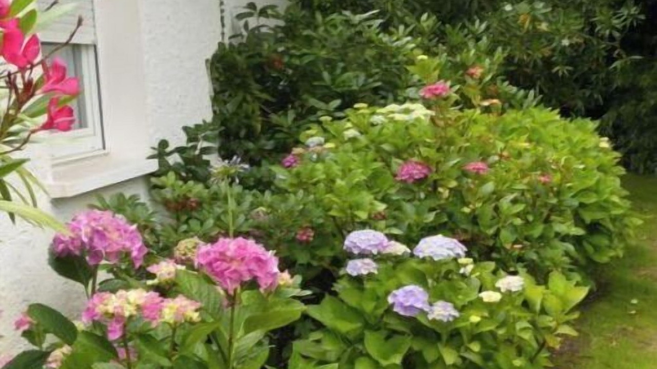 Photo of Outdoor in Andernos-les-Bains