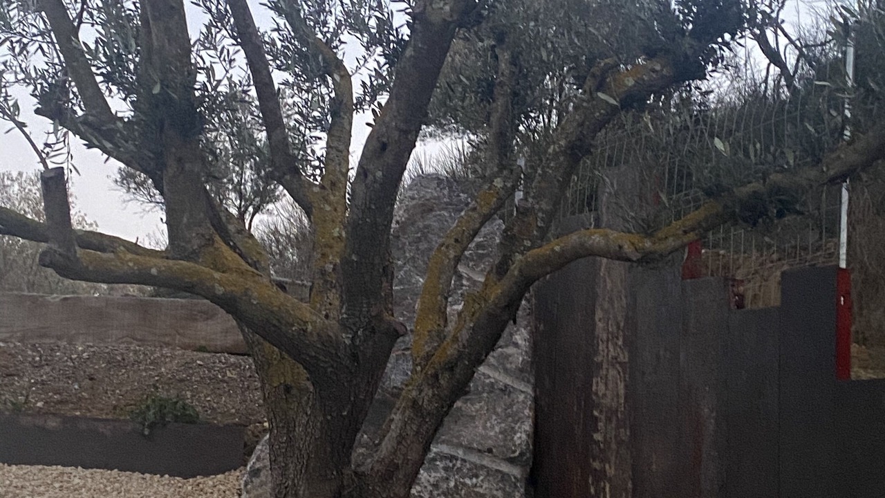 Photo of Outdoor in Roquessels