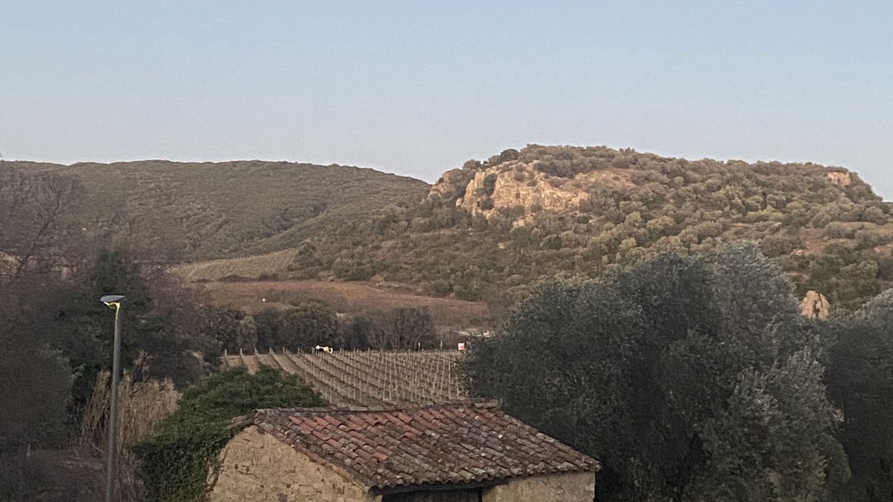 Photo of Others in Roquessels