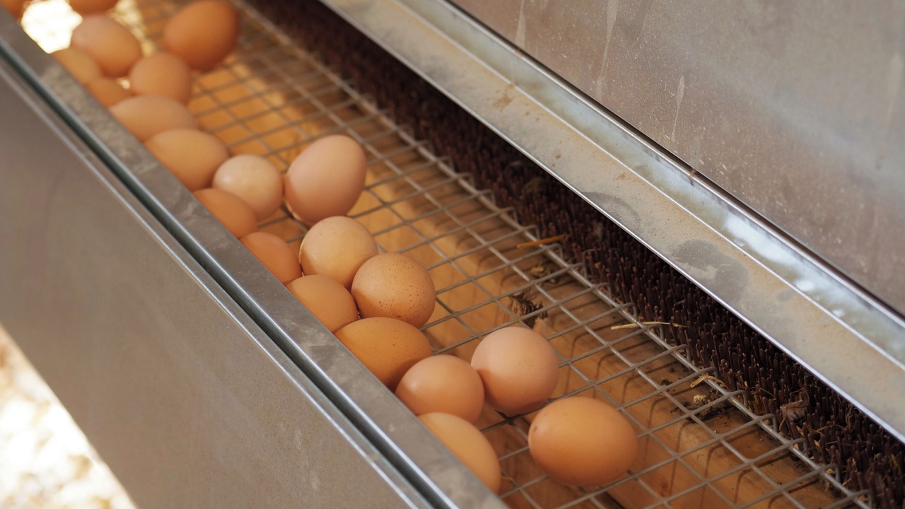 Photo of Others in Lawrence County