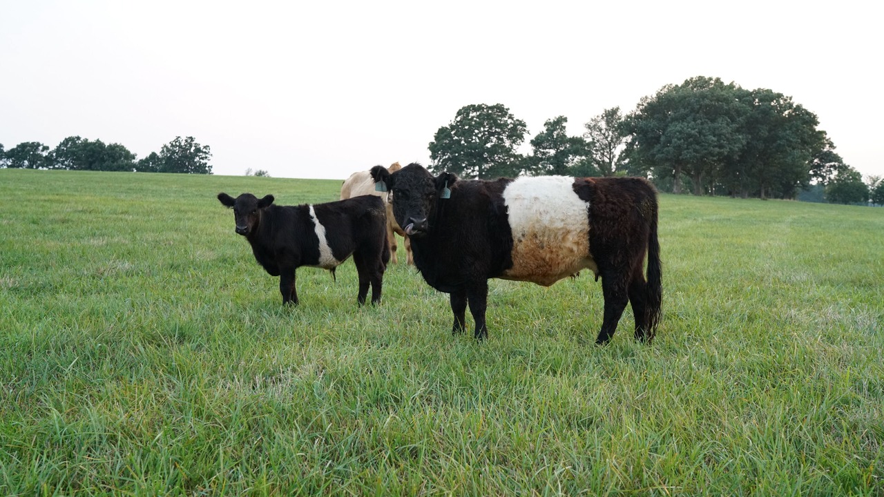 Photo of Others in Lawrence County